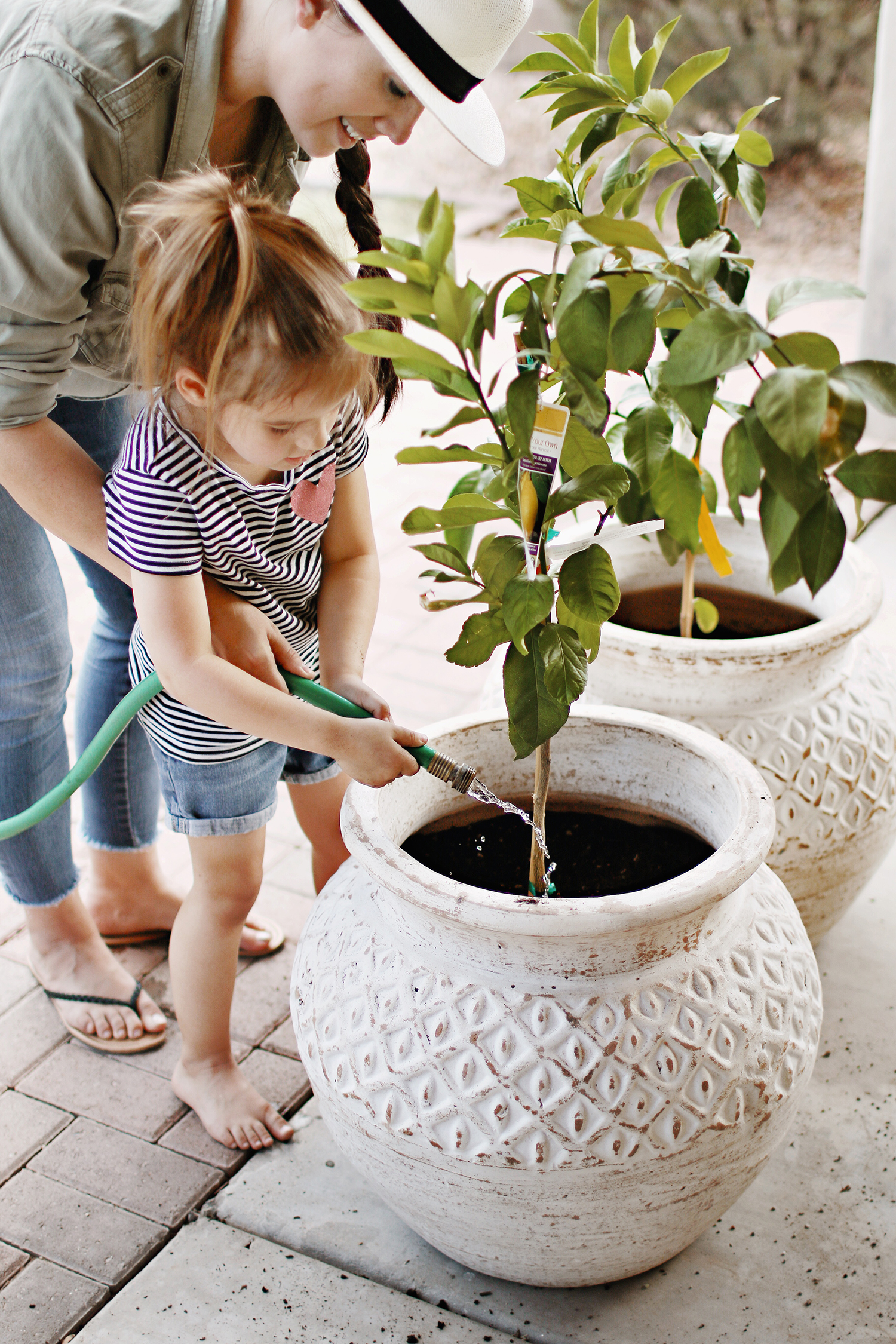 Learning to grow container lemon trees and the two new additions to our family. Learn more over at HausOfLayne.com! #Gardening #OutdoorSpace #LemonTree #ContainerLemonTrees