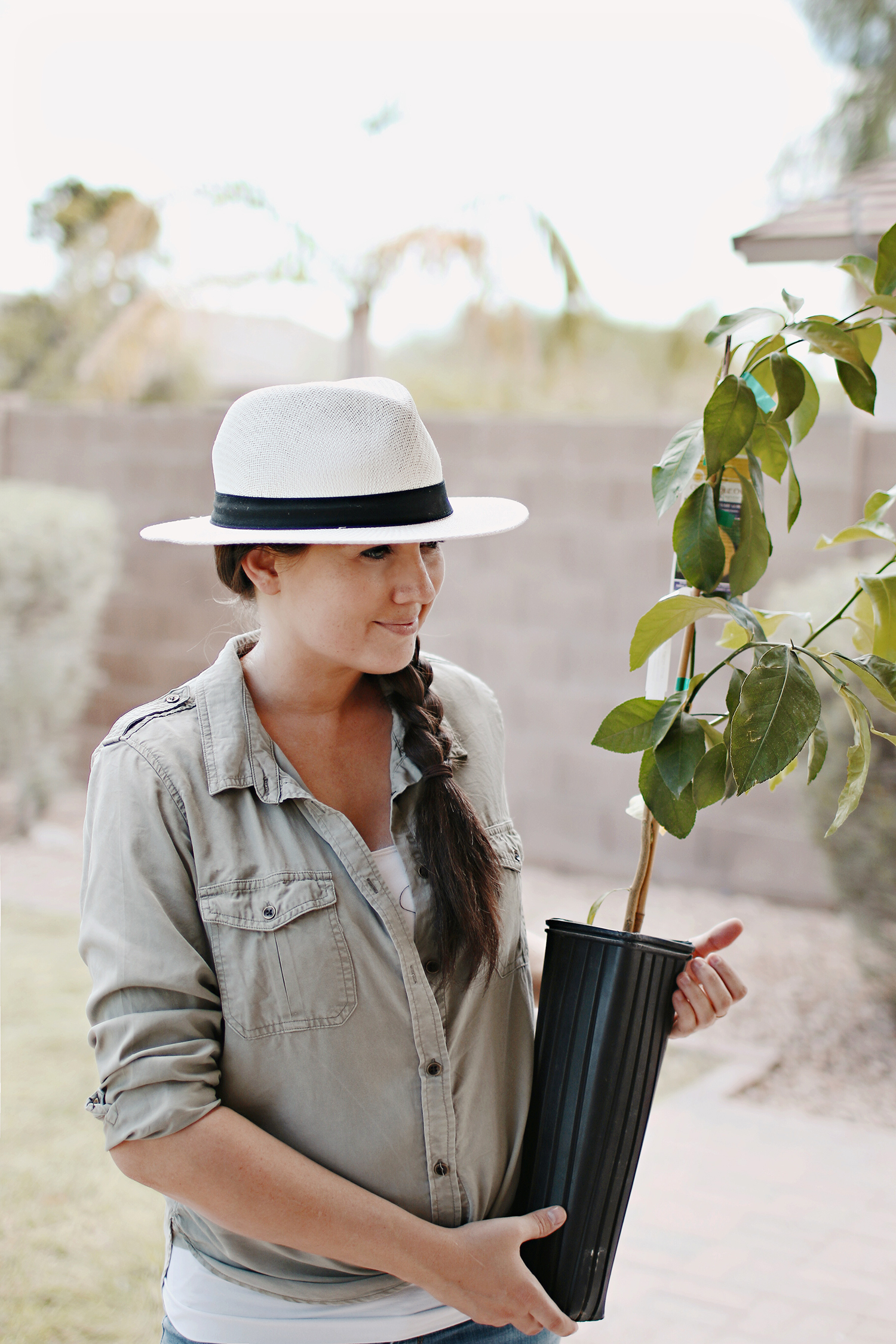 Learning to grow container lemon trees and the two new additions to our family. Learn more over at HausOfLayne.com! #Gardening #OutdoorSpace #LemonTree #ContainerLemonTrees