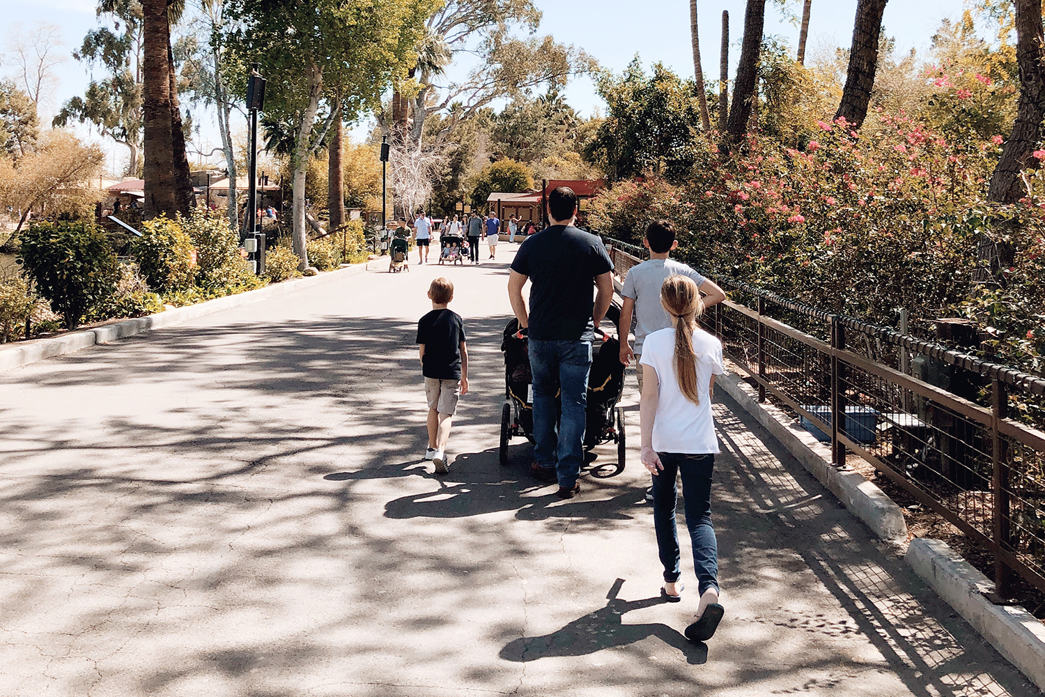 A day at the Phoenix Zoo with the fam. The perfect weekend weather here in the valley and just in time to enjoy this kind of outing before the temperatures rise. Catch a peek into our time over on Haus of Layne! #Zoo #Phoenix #Arizona #FamilyActivityIdeas #WeekendVibe #MomBlogger