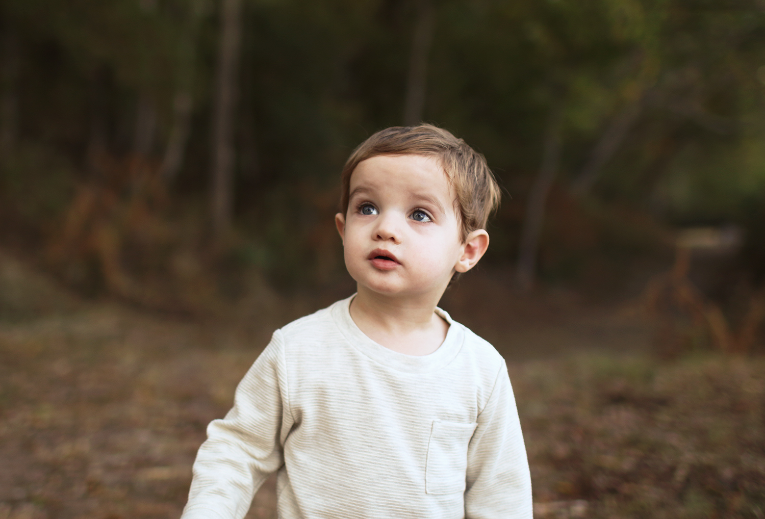 A letter to my son on his 2nd birthday. Catch it now on Haus of Layne! #Motherhood #RaisingKids #BirthdayTraditionIdeas #BirthdayPortraits #MemoryKeeping #ProjectLife
