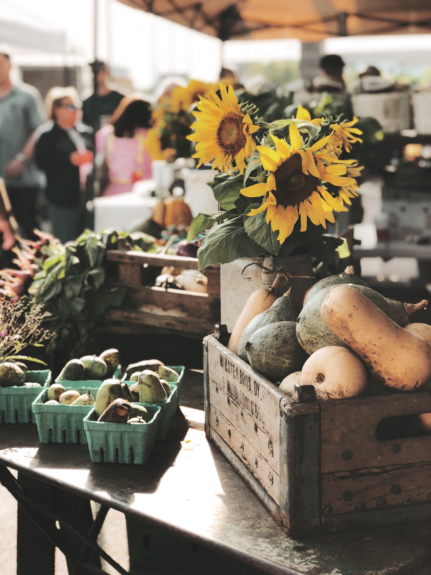 Saturdays at Franklin Farmers Market. A beautiful part of the town where farmers and makers gather to sell their goods. It's one of my favorite weekly traditions and I am sharing a peek into the experience. Catch it all on Haus of Layne! #FranklinTennessee #ThingsToDoInFranklinTennessee #FranklinFarmersMarket #NashvilleTennessee #ThingsToDoInNashville #FarmToTable #OrganicFoods #Farm #FreshFood #HealthyLiving #HealthyLifestyle