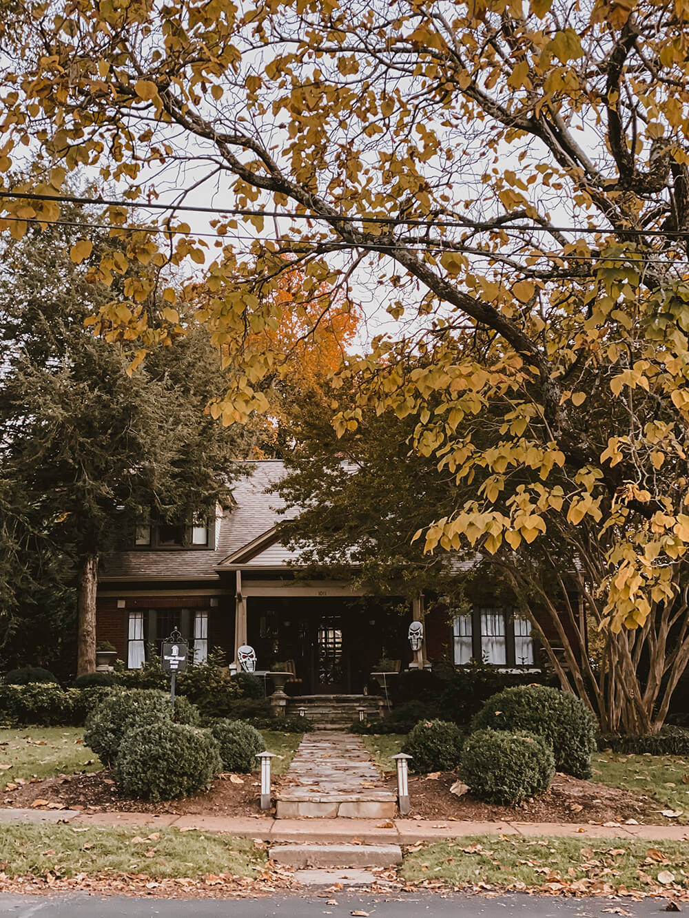 Nothing beats a small town during the holiday seasons. This sweet little town makes me weak in the knees during fall. I wanted to share six things to enjoy during fall in Franklin, Tennessee for when you find yourself in the south for a visit! From Gentry's farm and pumpkin patch to the view from the Natchez Trace bridge. Catch it all over on the blog!