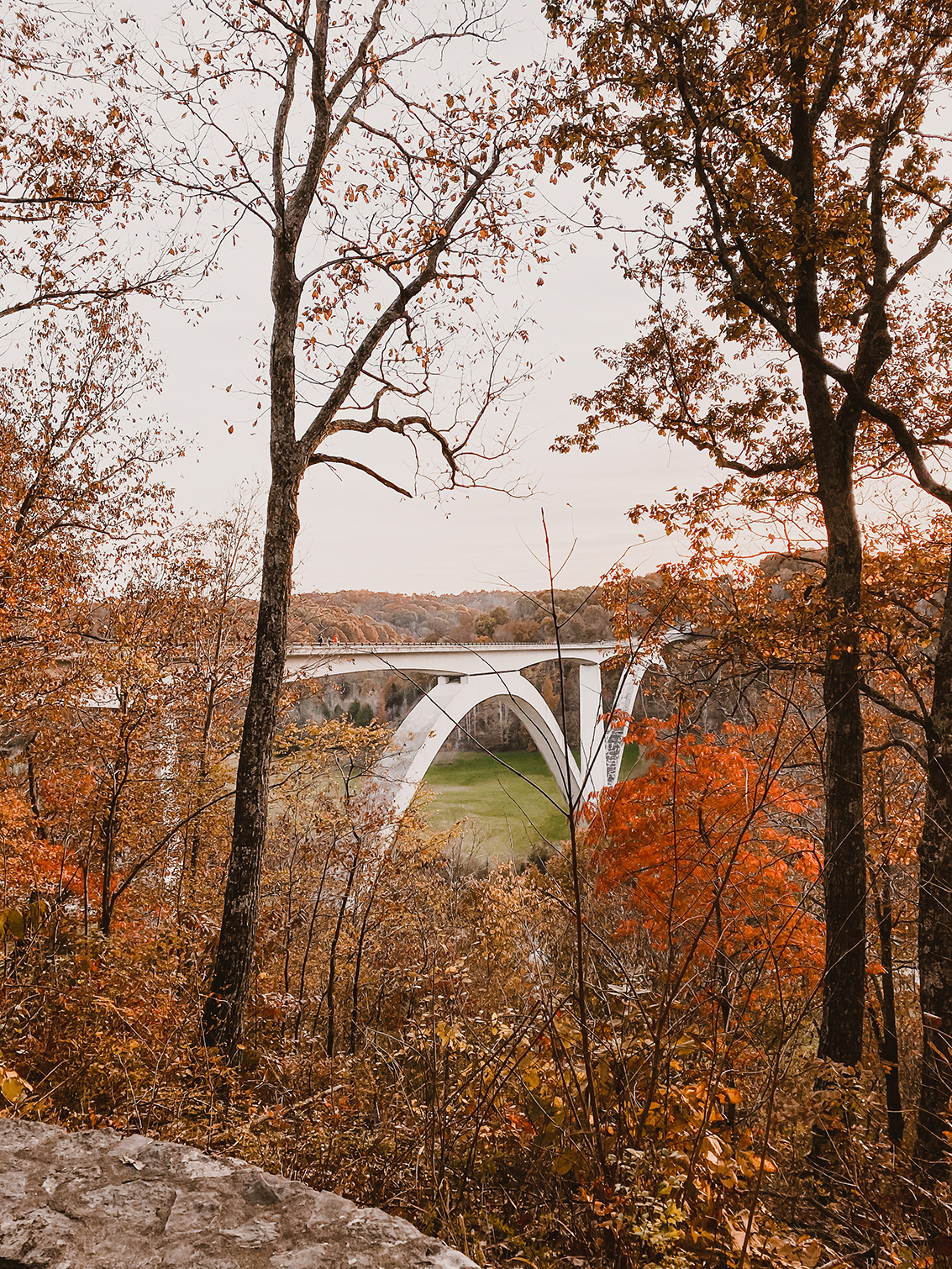 Nothing beats a small town during the holiday seasons. This sweet little town makes me weak in the knees during fall. I wanted to share five things to enjoy during fall in Franklin, Tennessee for when you find yourself in the south for a visit! From Gentry's farm and pumpkin patch to the view from the Natchez Trace bridge. Catch it all over on the blog!