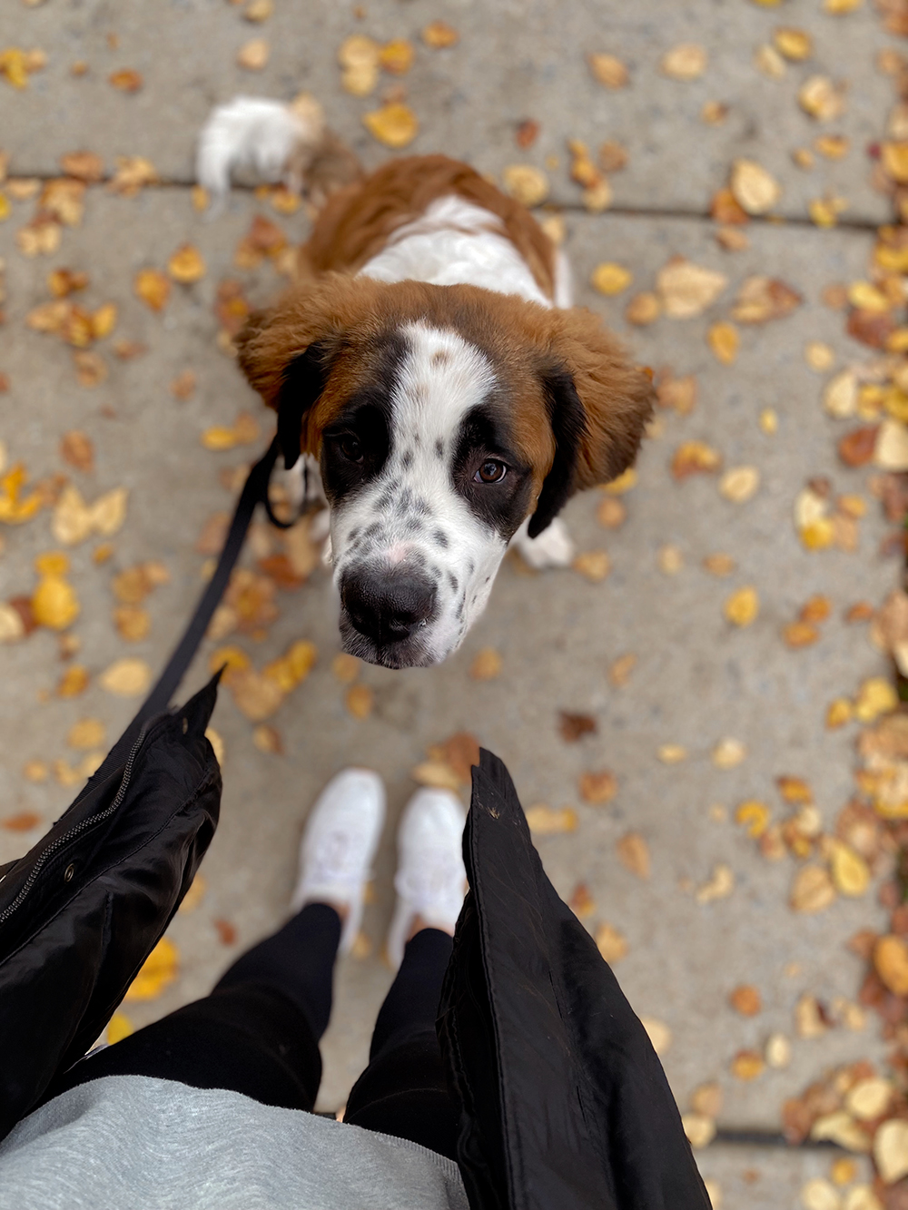 What actually happens when your nervous system hits capacity, why high-functioning isn’t the same as being okay, and how real life stress quietly adds up. If you’ve been holding it together for a long time… this one’s for you.